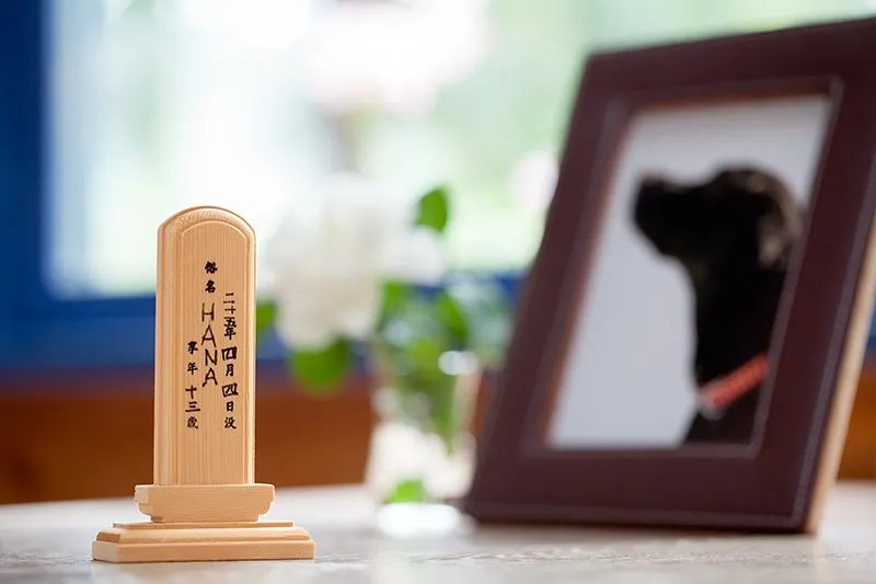 合同法要のご案内|一宮どうぶつ霊園・岐阜どうぶつ霊園